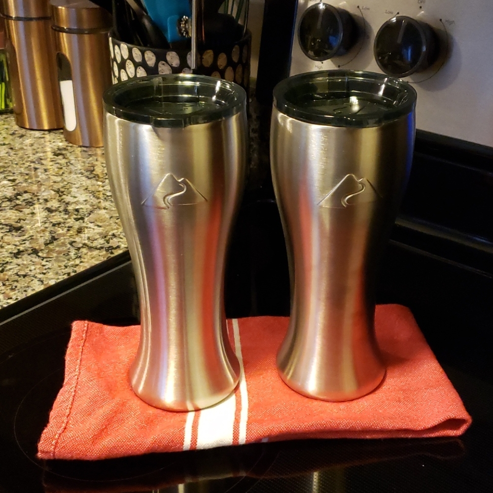 Stainless Steel Beer Stein- set of 2